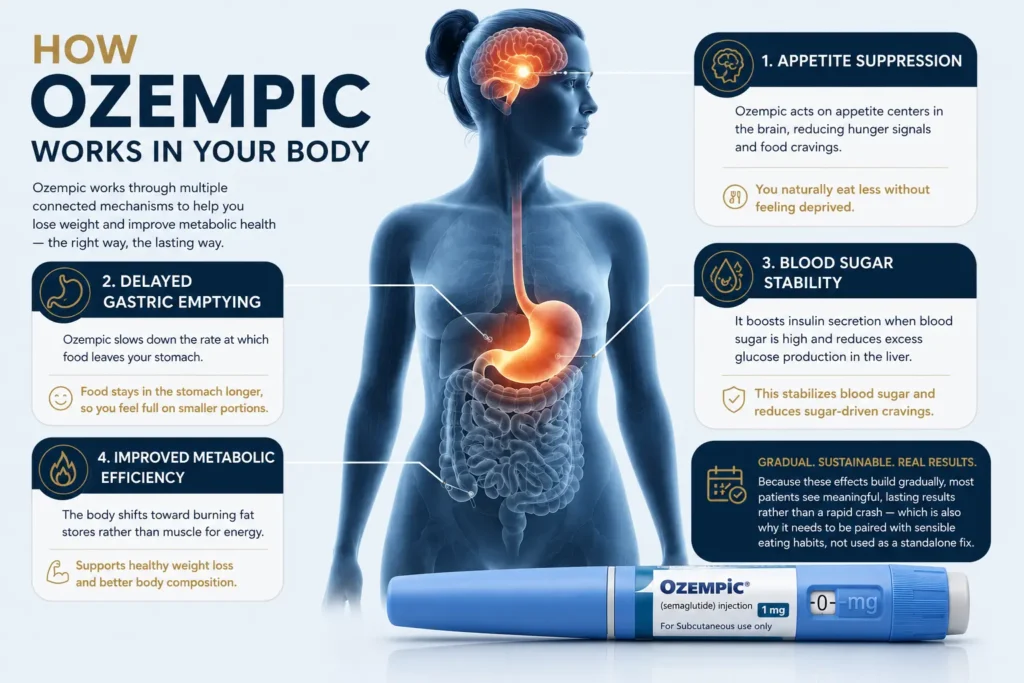 Ozempic Injection In slamabad 2 Dr. Shumaila Khan explains how Ozempic injection in Islamabad works by reducing appetite, slowing gastric emptying, regulating blood sugar, and supporting healthy fat loss through medically supervised treatment at Dermalase.